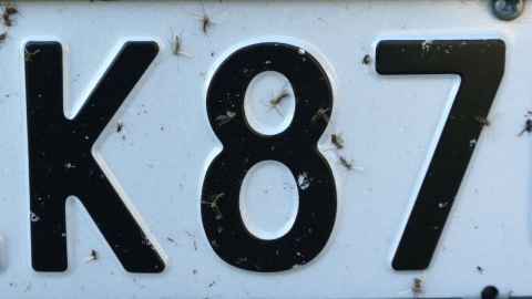 Car licence plates provide a tool to gather information about where insects are at present - and how that's changing
