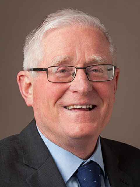 Professor Mark Henaghan, University of Auckland Law School.