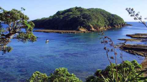 Goat Island Marine Reserve turns 50 on 26 October.