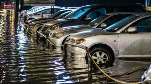 Flooding around cars for sale, in Auckland