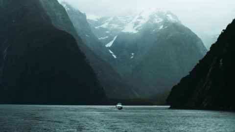 Technology that supports the health of the natural environment will be explored at the conference. Photo: Merlin Kraus.