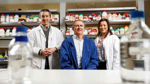 Gus Grey, Paul Donaldson, Julie Lim portrait