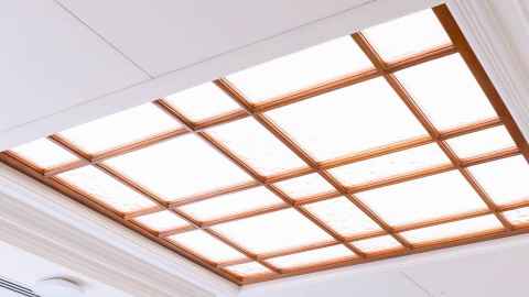 Old Choral Hall skylight