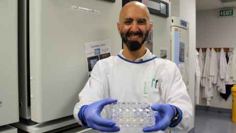 Dr Hossein Jahedi is developing a lung cancer organoid biobank. Photo: Rose Davis.