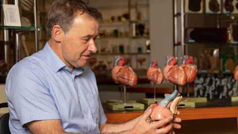 Julian holds a model of a heart with others on a table behind