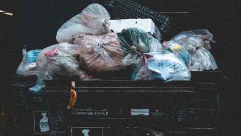 New Zealand currently recycles only about 1% of the materials that flow into the country. Photo: Unsplash.