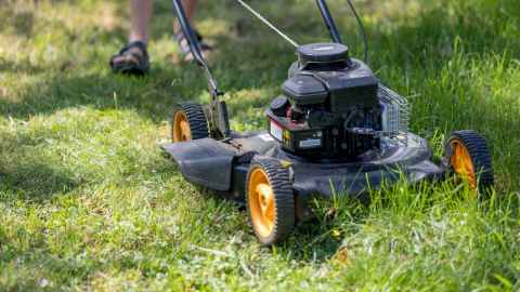 Lawnmowing is expensive for the planet, says Olivia Rooke-Devoy. Photo: Carl Tronders.