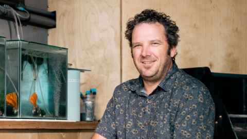 Professor Craig Radford says creating more quiet spaces in the sea would benefit marine life. 