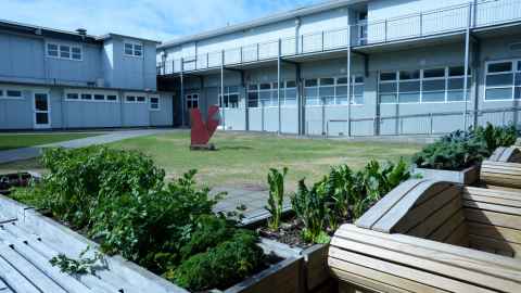 The One Tree Hill Trade Academy courtyard is flood-prone and cramped.