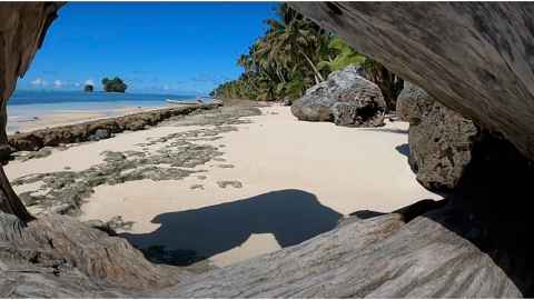 The coast of Rotuma
