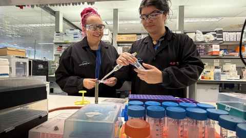 Associate Professor Siouxsie Wiles and Dr Priscila Dauros-Singorenko working in the microbiology lab.
