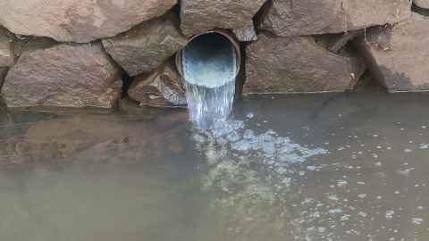 Treated wastewater sometimes contains nitrate in New Zealand towns and cities. Photo: Jacob Antony.