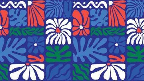 Getty image of Pasifika motifs