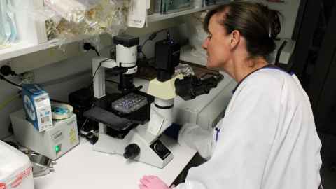 Professor Johanna Montgmery in the lab. Photo: Rose Davis.