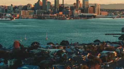 Some areas of Auckland have far more tree cover than others. Photo:  Sulthan Auliya.