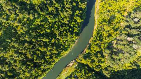 Whanganui River
