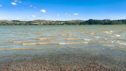Brown water caused by sediment laps the shores of an inlet in the Porirua harbour. A small settlement and hills are in the background.