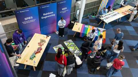 There are more than 250 clubs at the University of Auckland.