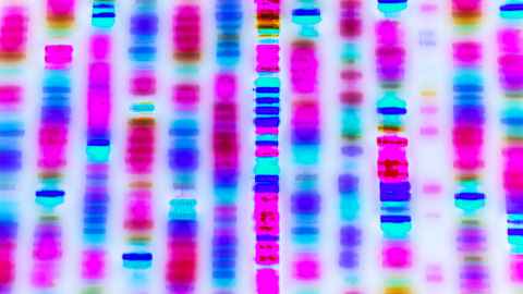 Graphic depiction of DNA. 