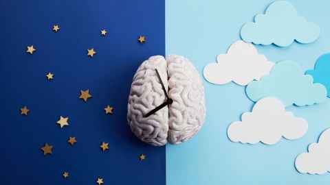 image of a brain and body clock, creative