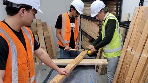 Dr Gary Raftery and team members assess the quality of secondary wood.