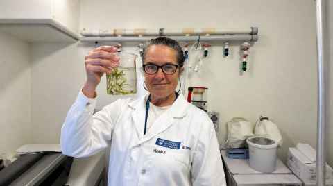 Doctoral candidate Michele Rogalin-Henderson in the lab.