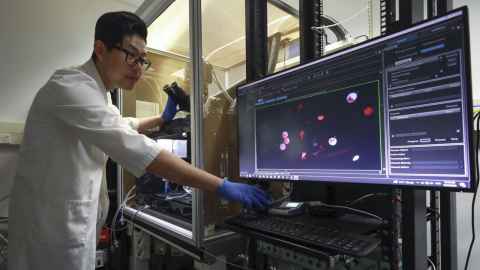 Xin Shen is working on a medication to regulate the heart.  Photo: Heart Foundation.