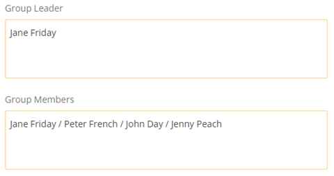 Screenshot showing how to put one name under the field group leader and your group members in the group member field