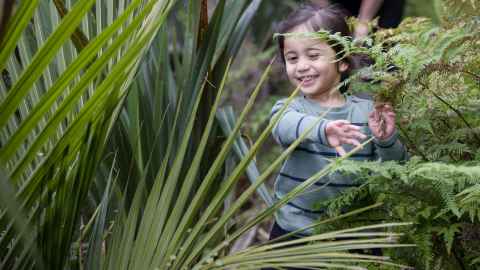 Child runs through foliage in the playground.