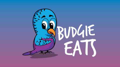 The Budgie Eats icon