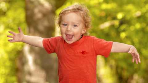 A small child in a red shirt.