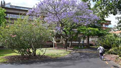 A student walking through trees to a University building