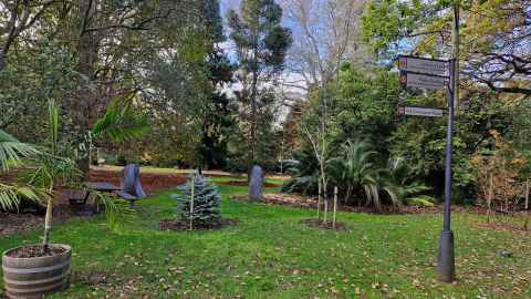 Trees and grass outside a University building.