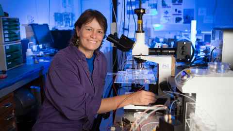 A smiling, brown-haired woman using a microscope.