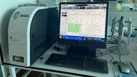 Bead assay reader