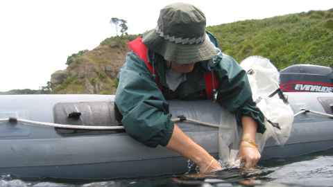 Keren rinsing plankton over the side of a boat