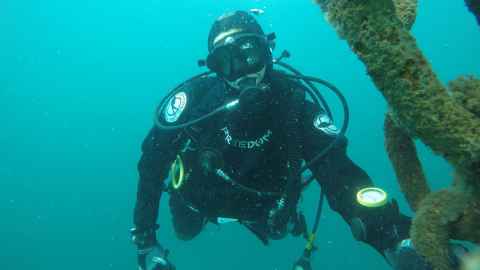 Dr Caitlin Blain diving underwater