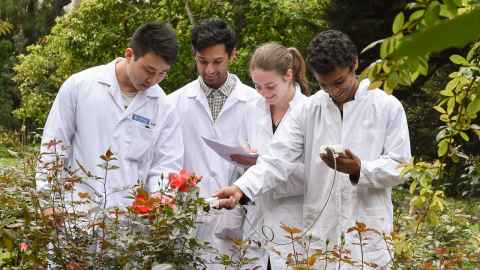 Students taking measurement during plant practical.