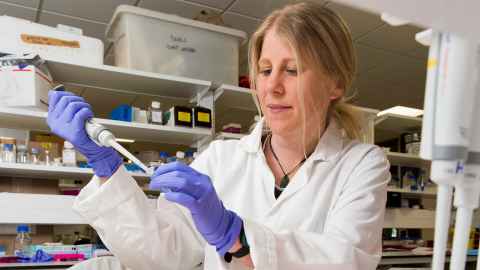 Jessie Jacobsen, School of Biological Sciences. 