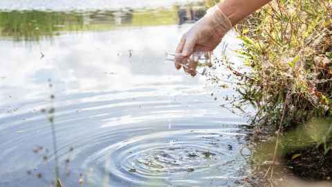 Samples being taken from a stream