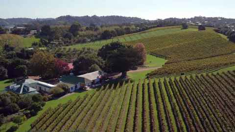 A video tour of working vineyard on Waiheke Island