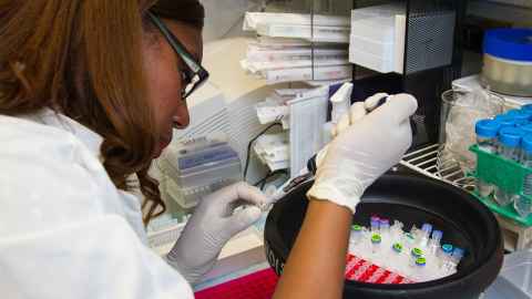 PG student working in the lab