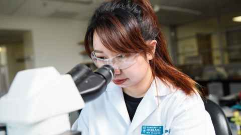 Postgraduate medicinal chemistry student looking through a microscope