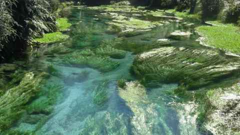 A blue stream with lots of green moss. 
