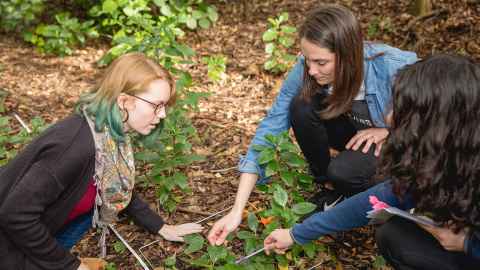 UG Environment students