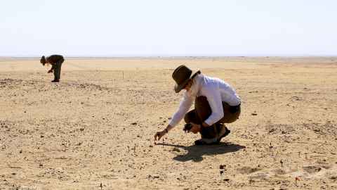 Environment researchers working in the desert