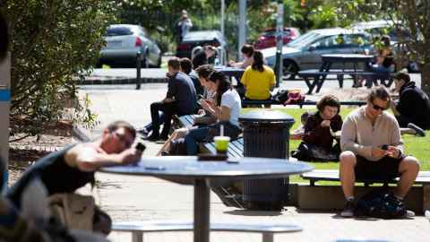 Students in the quad