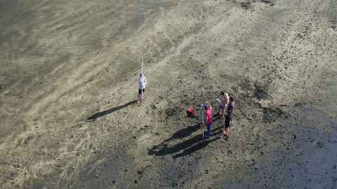School of Environment Muriwai beach field trip
