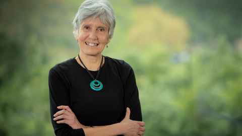 Niki Harre, School of Psychology