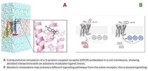 Allosteric modulators of cannabinoid and opioid GPCRs